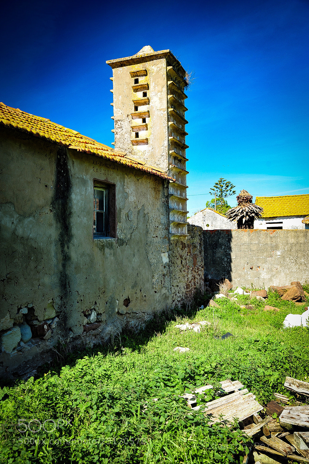 Nikon D700 sample photo. Untitled photography