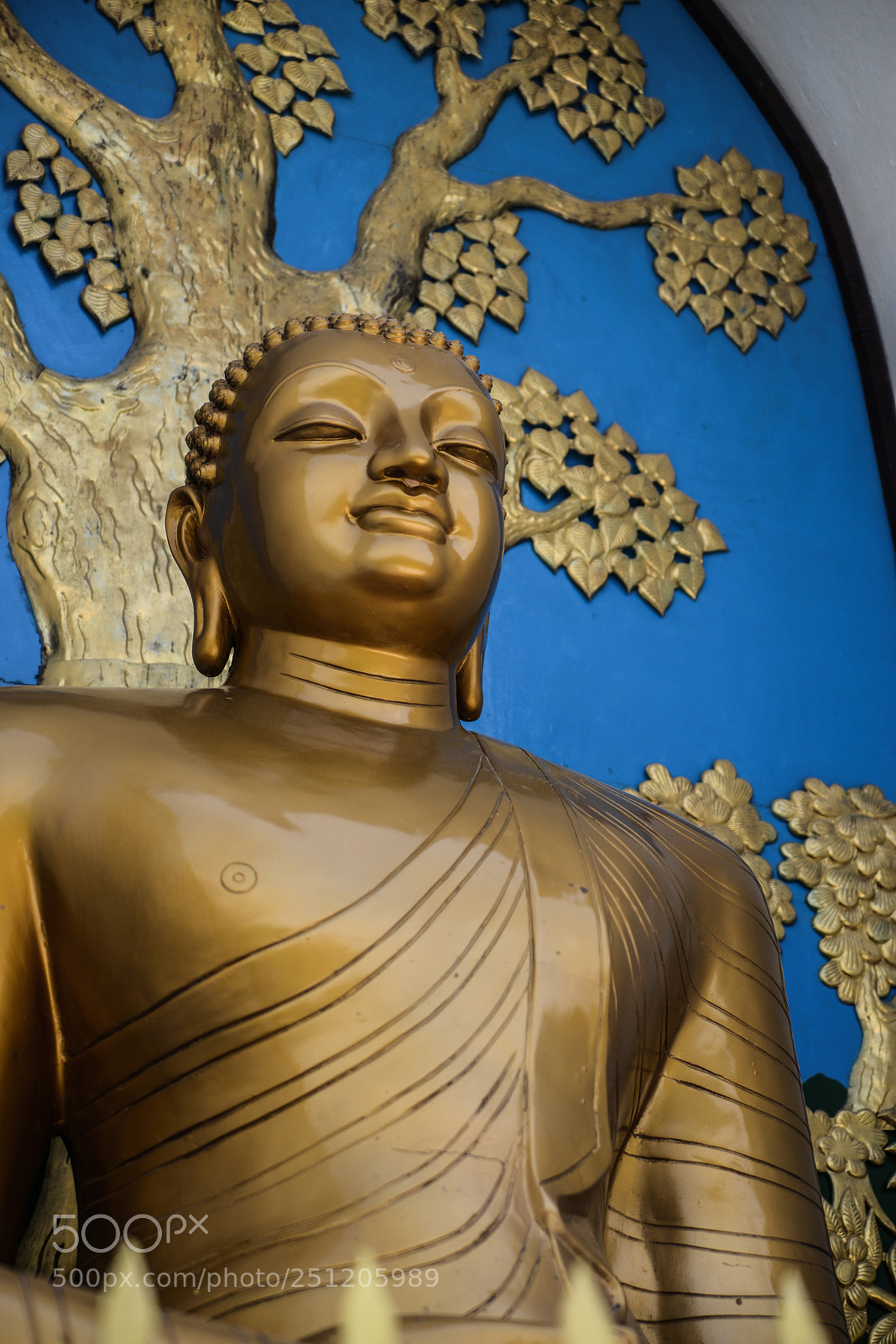 Nikon D600 sample photo. Nepal photography