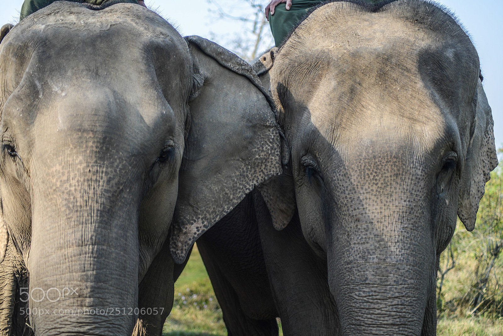 Nikon D600 sample photo. Nepal photography