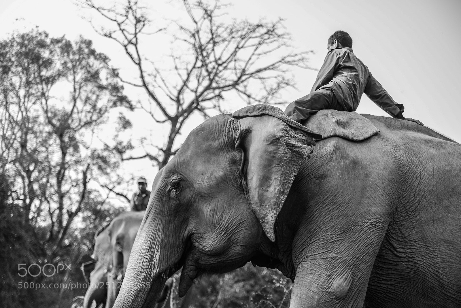 Nikon D600 sample photo. Nepal photography