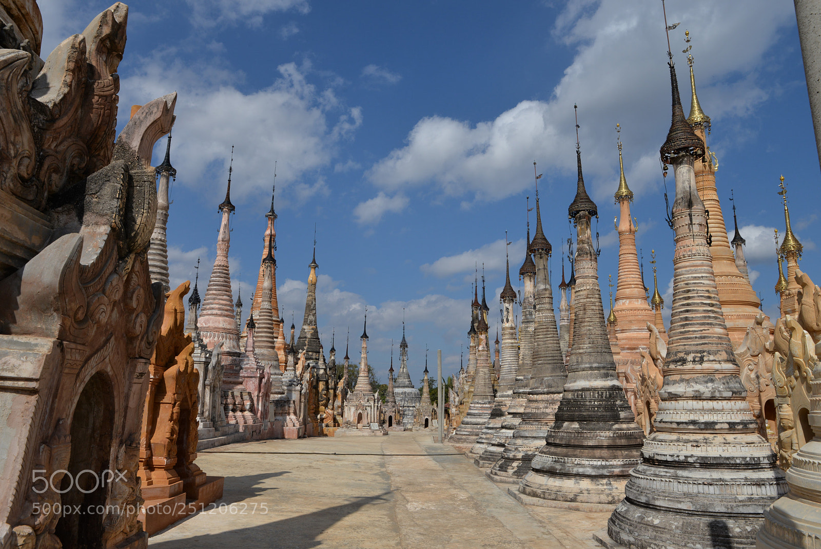 Nikon D610 sample photo. Forêt de stupas /6937 photography