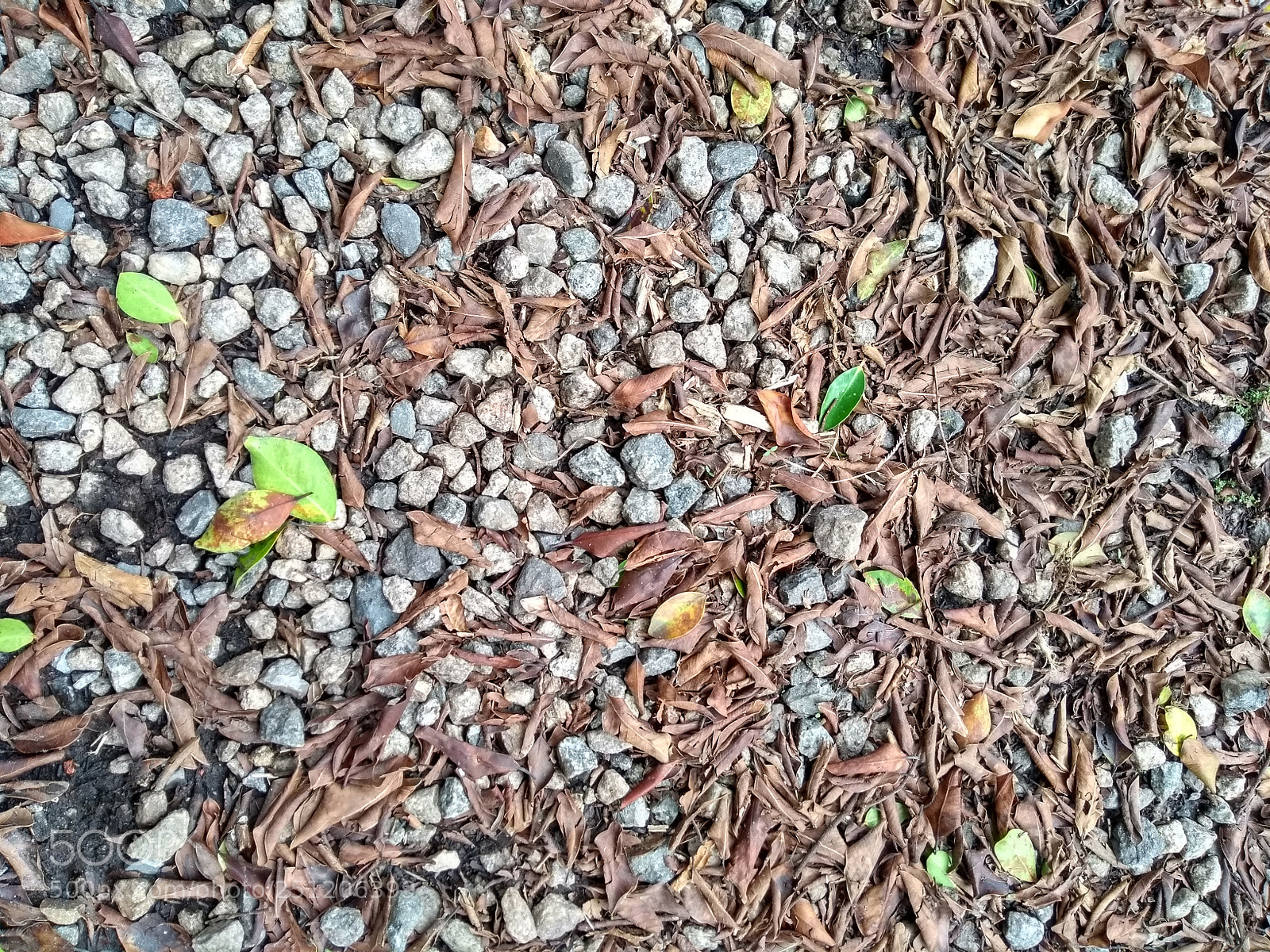 Motorola Moto G (5th Gen) sample photo. Untitled photography