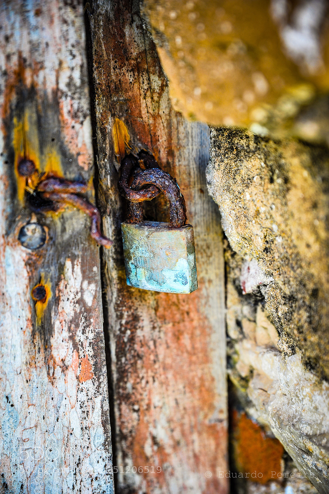 Nikon D700 sample photo. Untitled photography