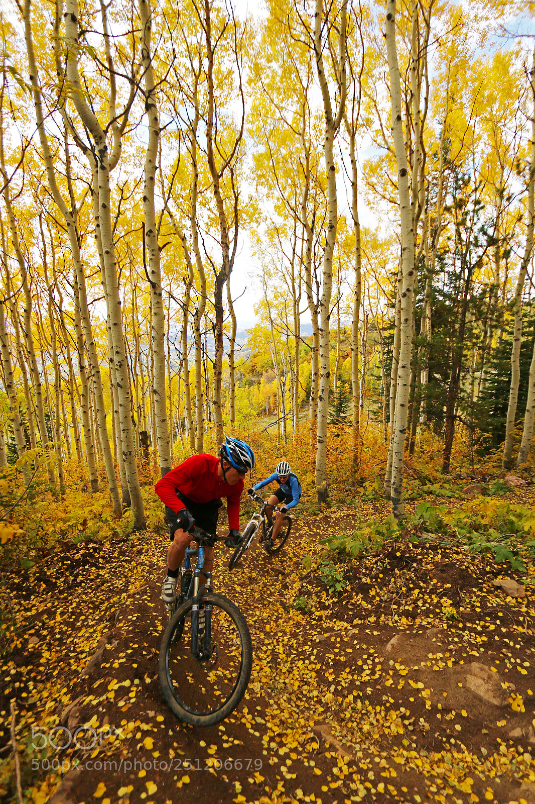 Canon EOS 70D sample photo. Mountainbikingcoloradofall photography