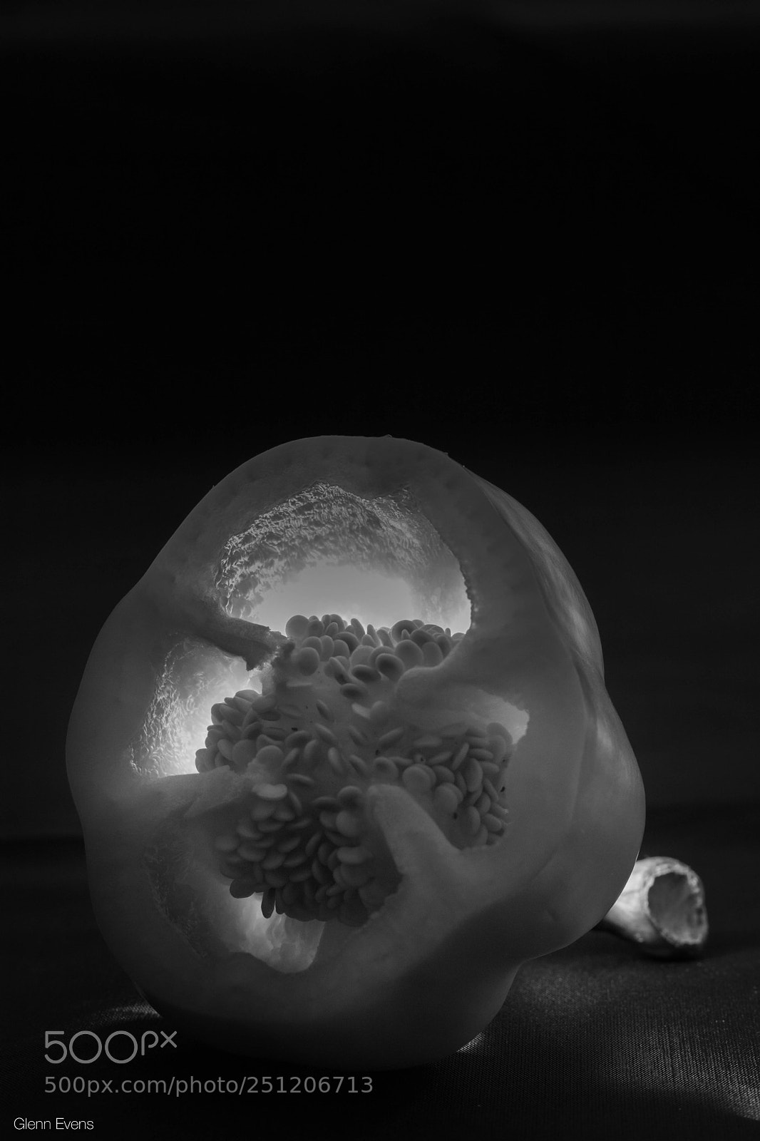 Canon EOS 750D (EOS Rebel T6i / EOS Kiss X8i) sample photo. Black and white pepper photography