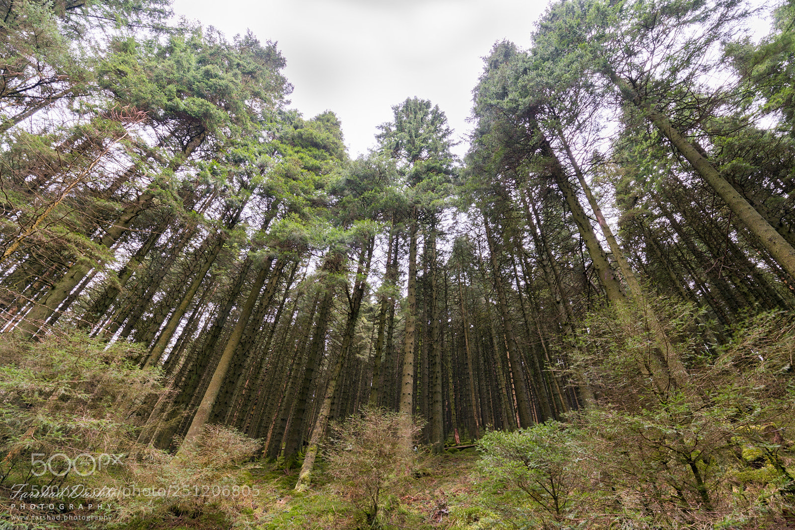 Sony a7R II sample photo. Lake district photography