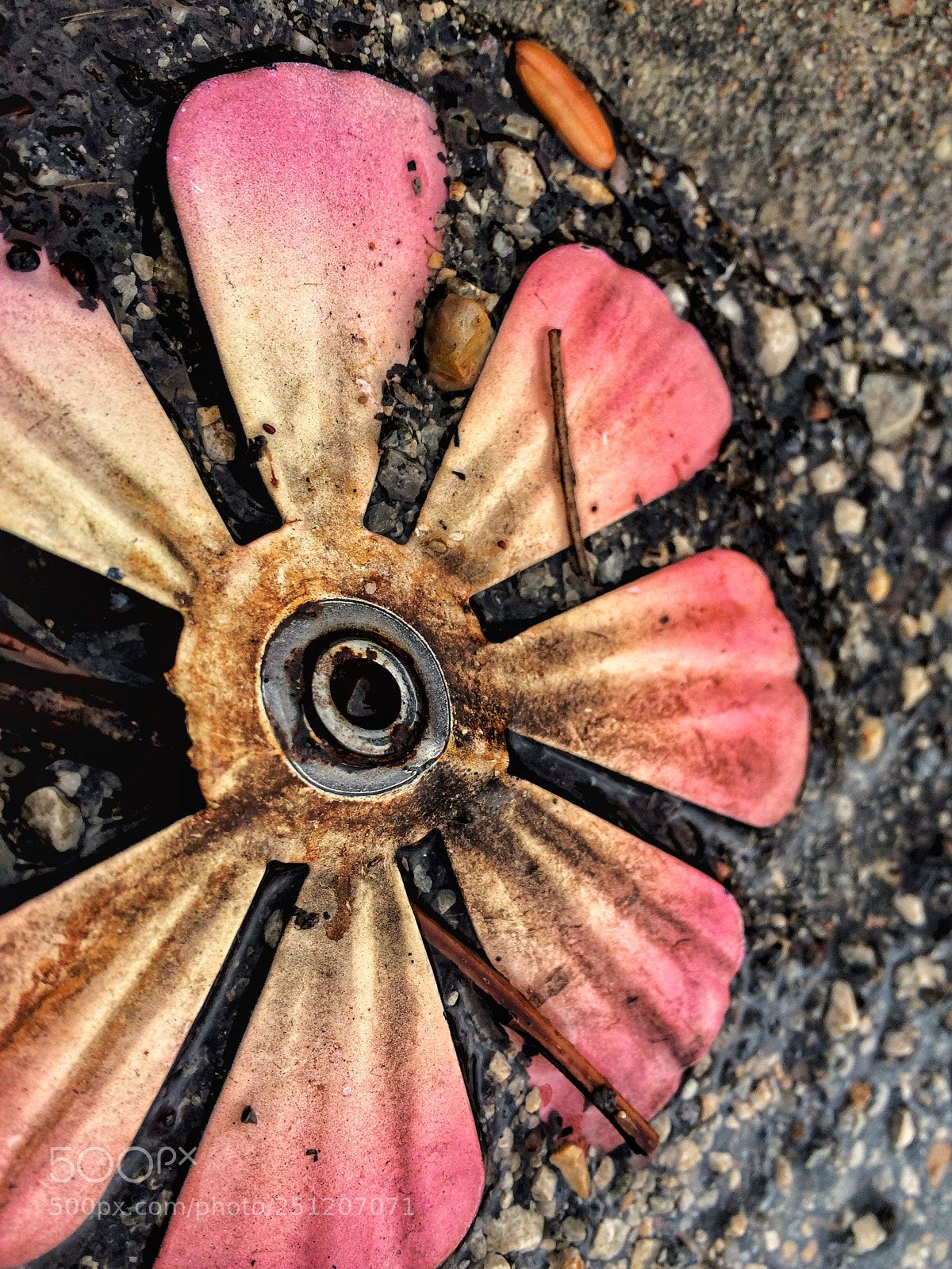Apple iPhone 5s sample photo. Flower photography