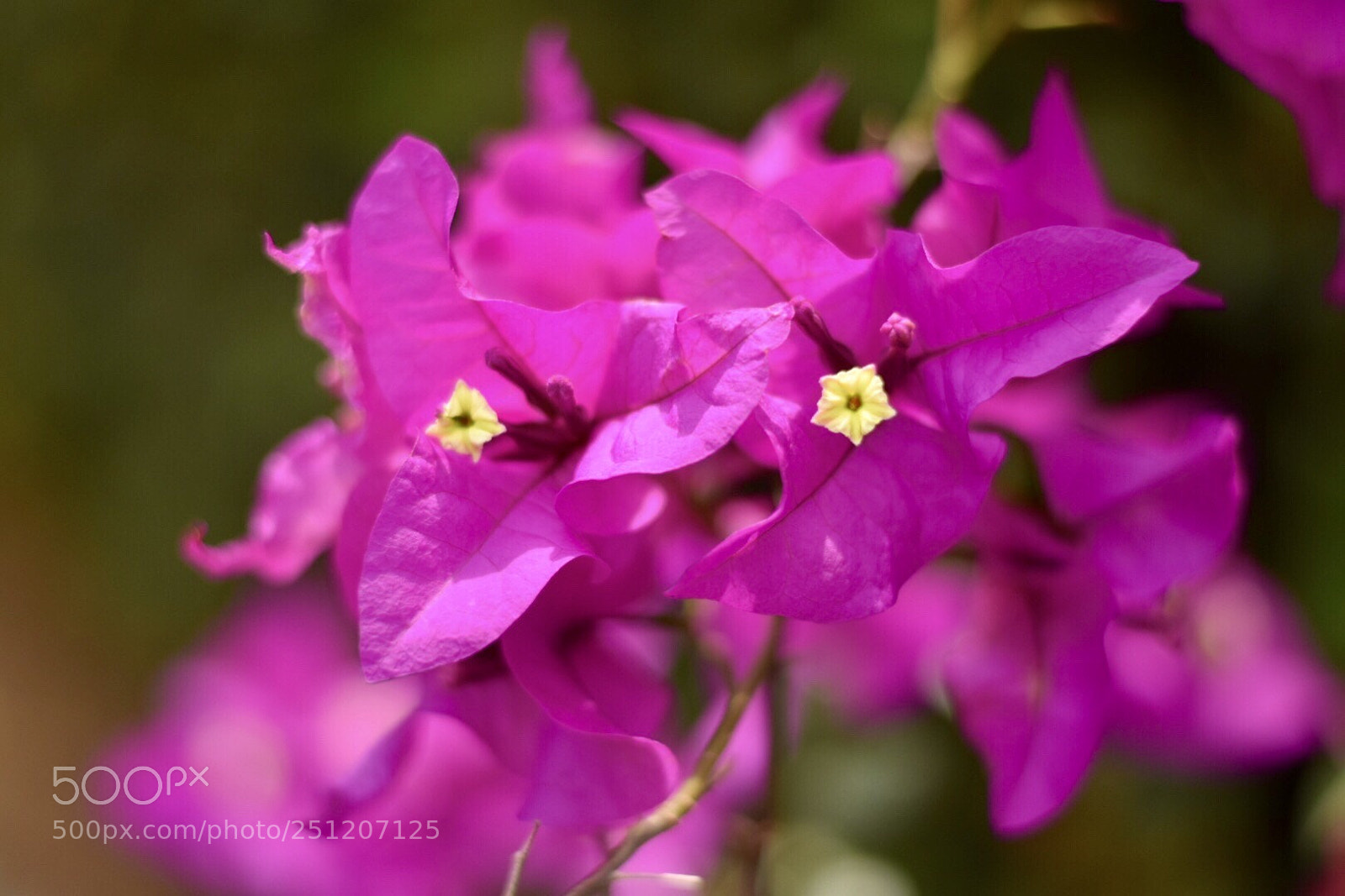 Nikon D3300 sample photo. Untitled photography