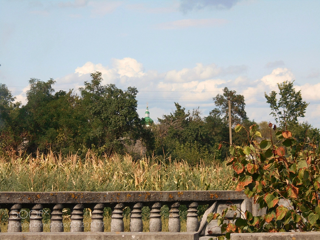 Nikon Coolpix A100 sample photo. E cd orig photography