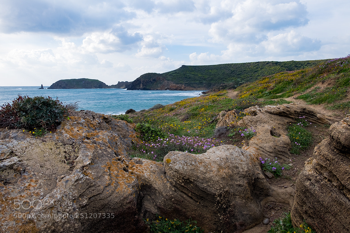Fujifilm X-E2 sample photo. Primavera in sardegna photography