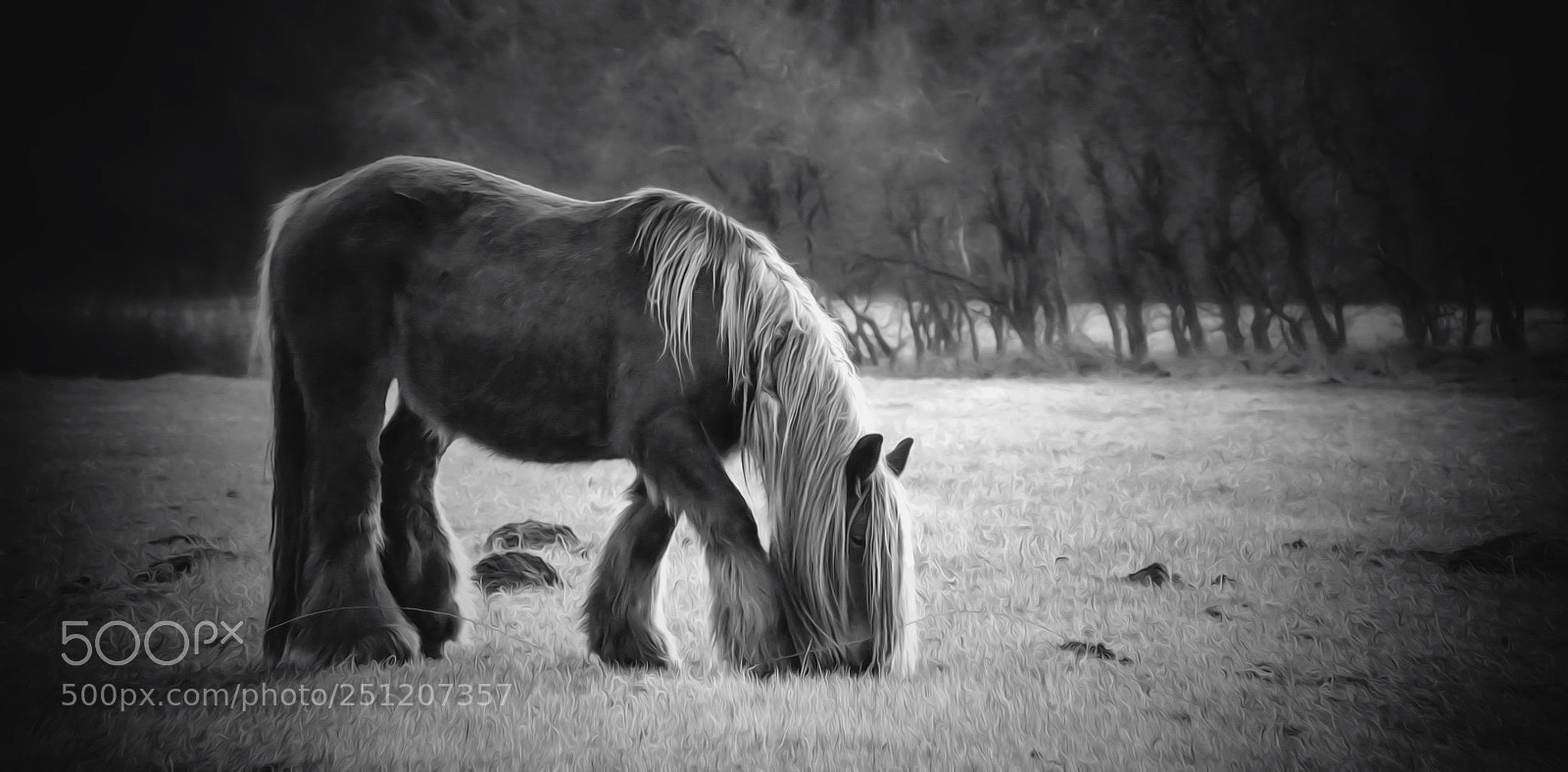 Canon PowerShot G3 X sample photo. Black and white photography