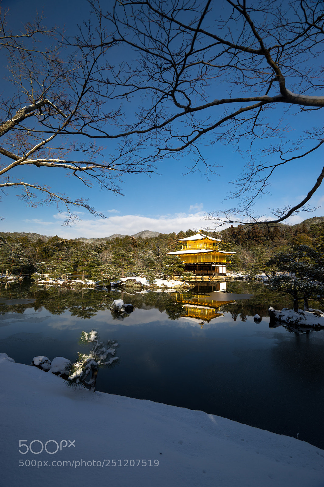 Sony a7 sample photo. Golden white photography