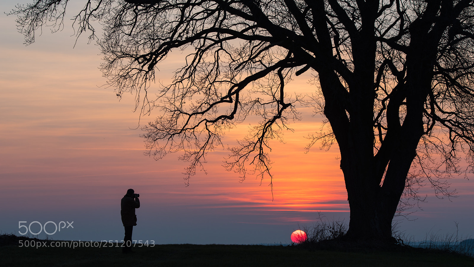 Nikon D5500 sample photo. Eiche photography