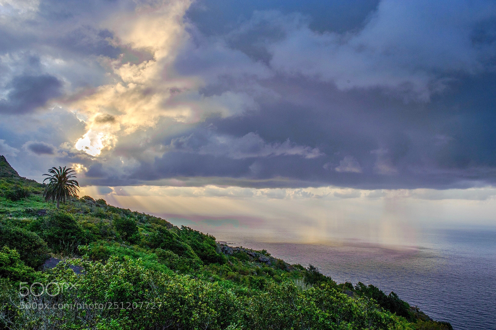 Nikon D700 sample photo. Rainy tenerife - spain photography
