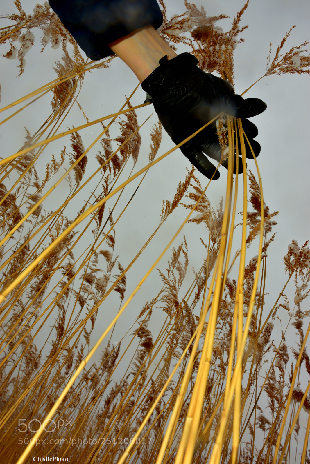 Nikon D7200 sample photo. Embrace photography