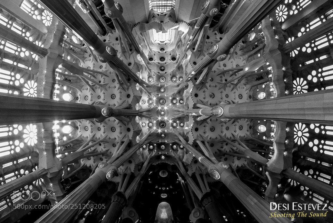 Nikon D200 sample photo. Sagrada familia photography