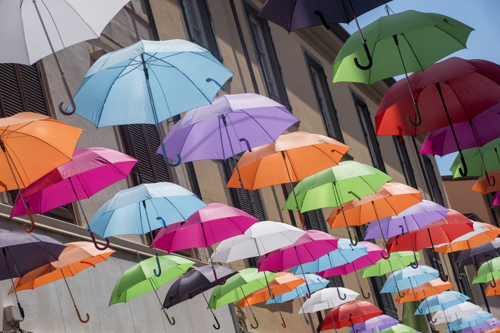 Pietrasanta, Lucca: the main street with colorful umbrellas by Claudio G. Colombo on 500px.com