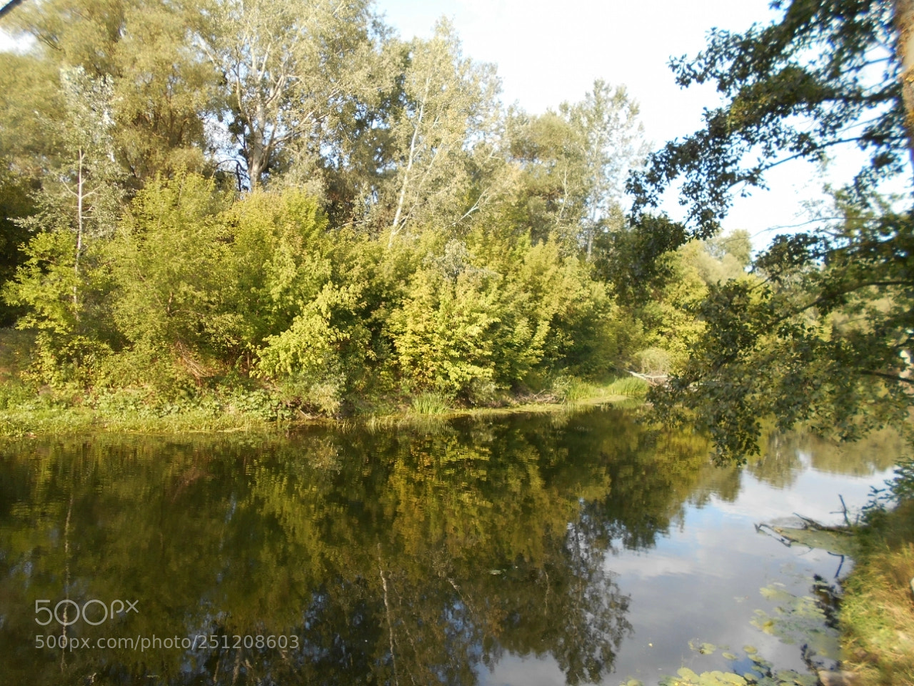 Nikon Coolpix A100 sample photo. Cc orig photography