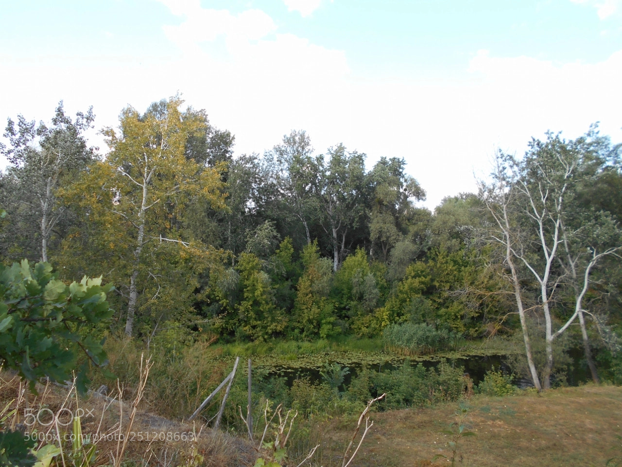Nikon Coolpix A100 sample photo. Daab orig photography