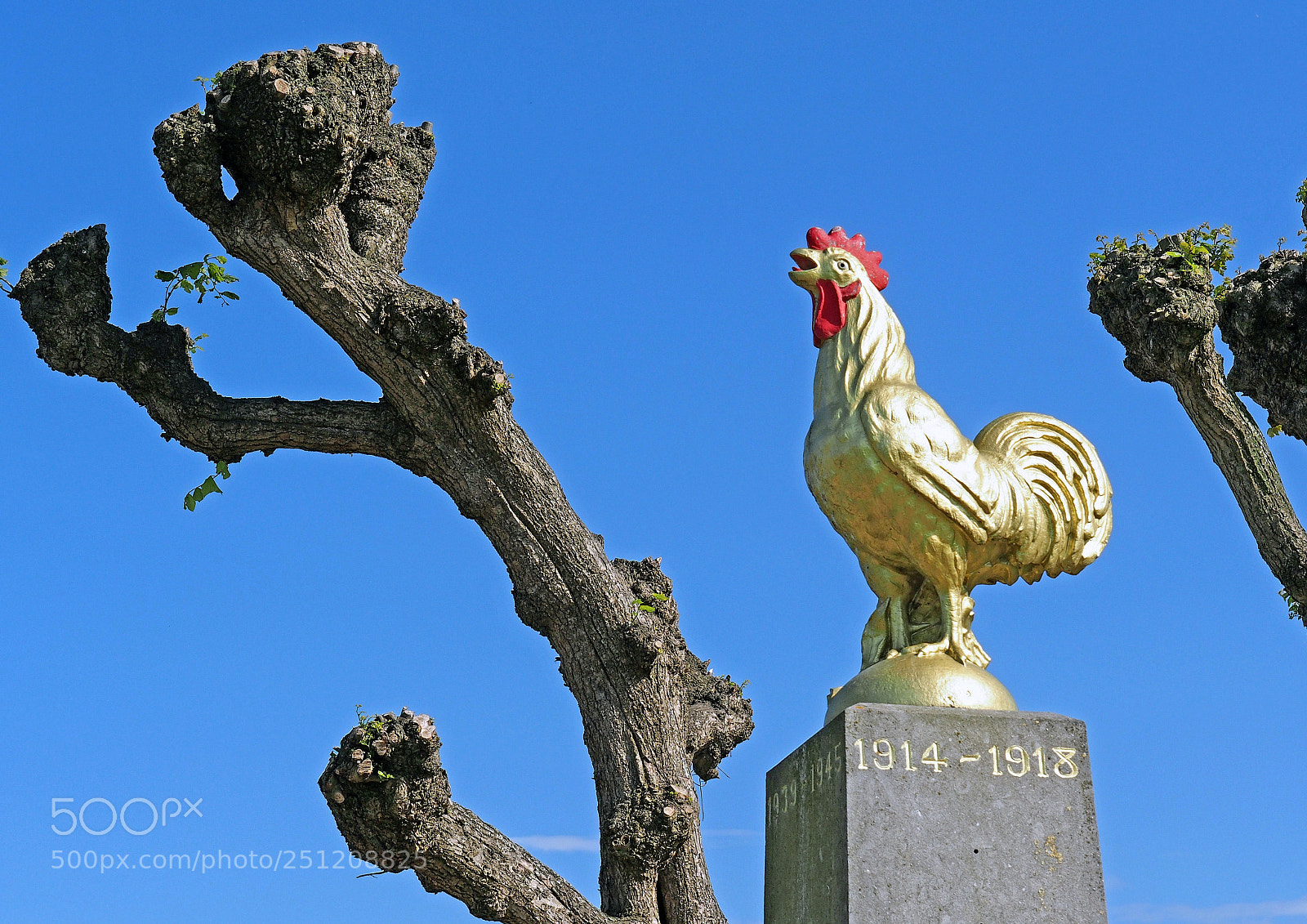 Olympus OM-D E-M5 sample photo. Aulnois-sous-laon aisne photography