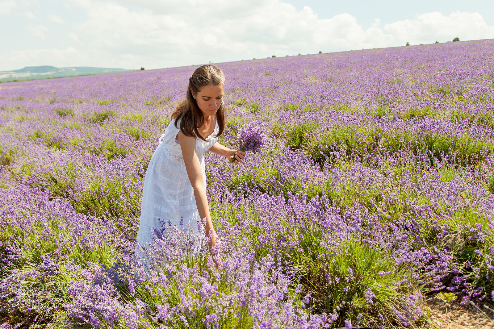 Canon EOS 5D Mark II sample photo. The girl collects lavender photography