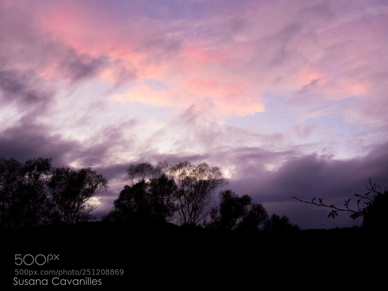 Canon PowerShot SX60 HS sample photo. Nubes rosas photography