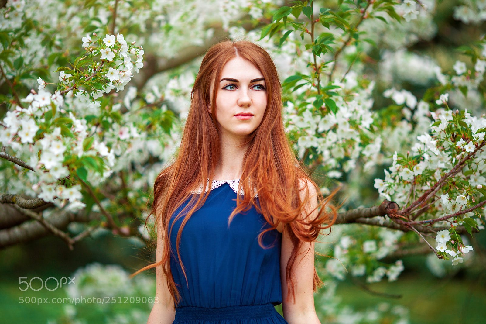 Canon EOS 5D Mark II sample photo. Untitled photography