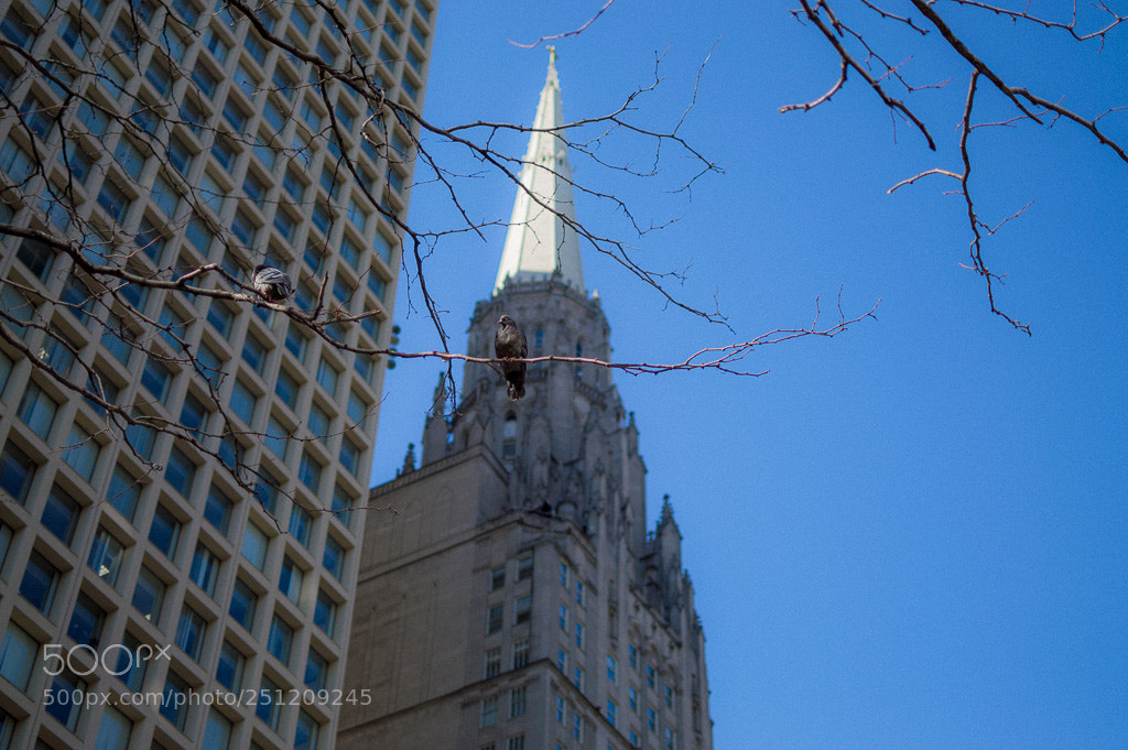 Nikon D3200 sample photo. Unrequited photography