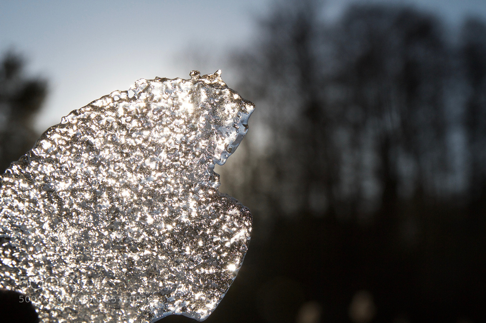 Canon EOS 7D sample photo. Ice & sunshine photography