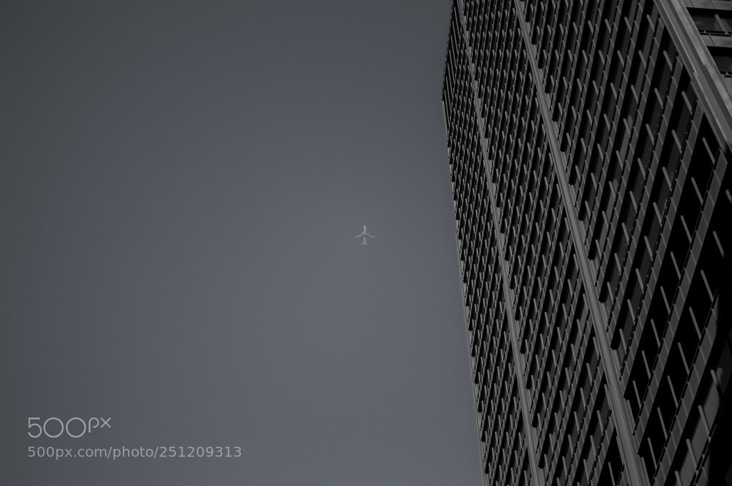 Nikon D3200 sample photo. Shooting star photography