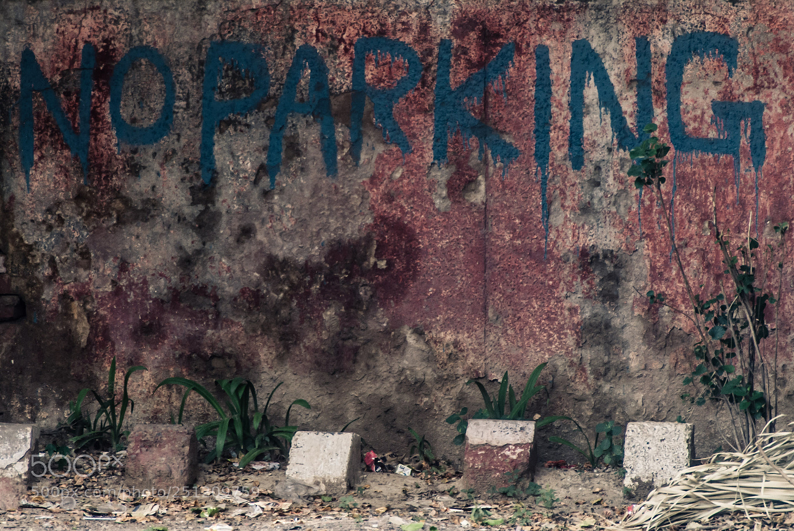 Nikon D200 sample photo. _-8 photography