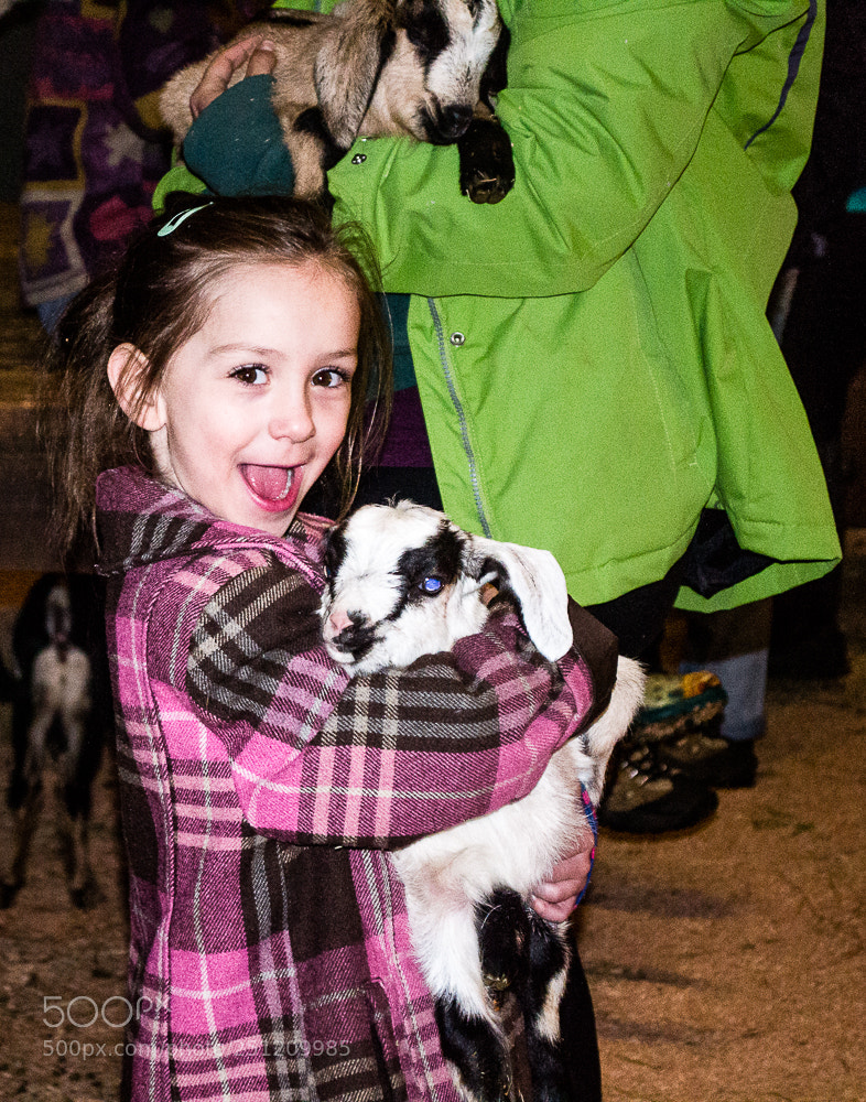 Nikon D3100 sample photo. Everyone loves baby goats! photography