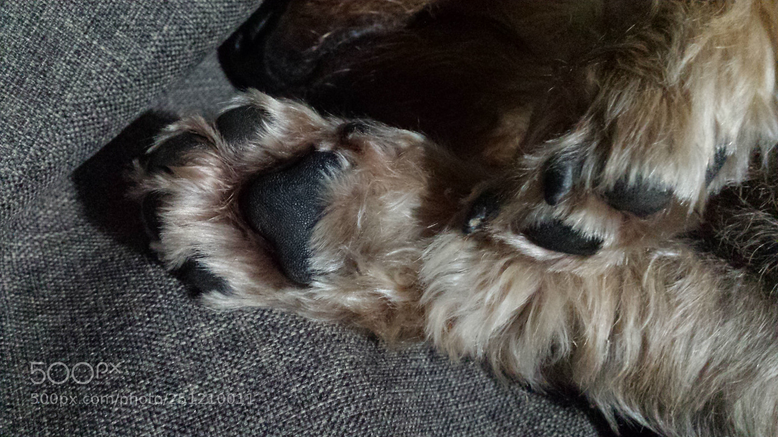 Samsung Galaxy S4 sample photo. Untitled photography