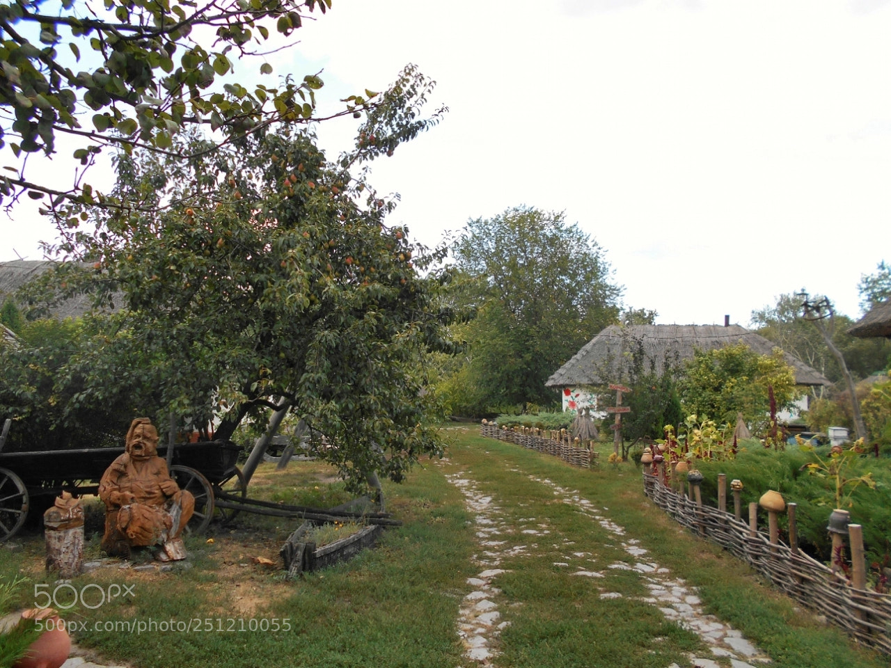 Nikon Coolpix A100 sample photo. Bfa orig photography