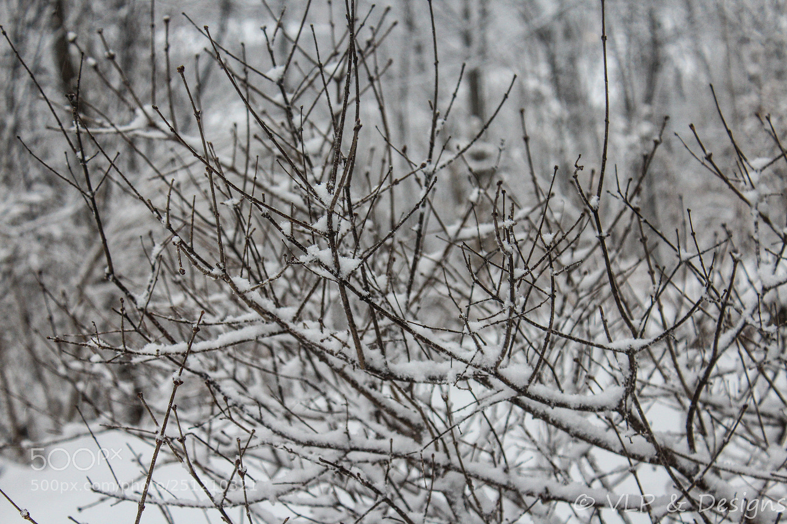 Canon EOS 1200D (EOS Rebel T5 / EOS Kiss X70 / EOS Hi) sample photo. Beyond the trees and photography