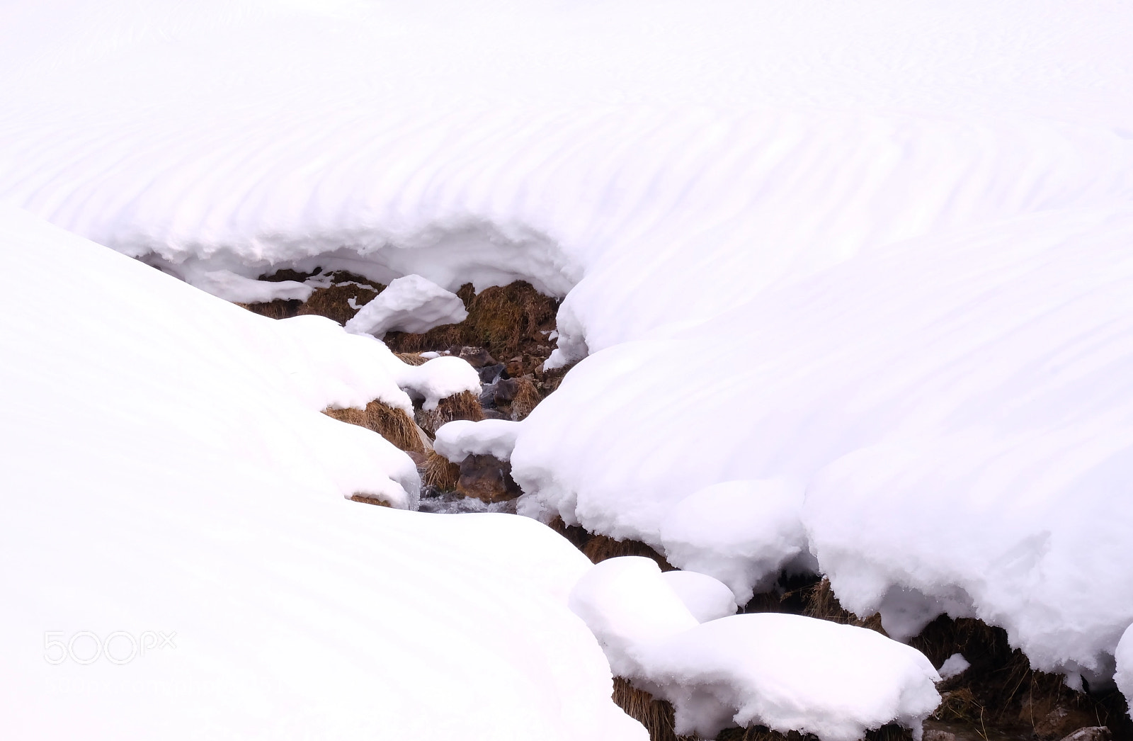 Fujifilm X-T2 sample photo. Winter ii photography