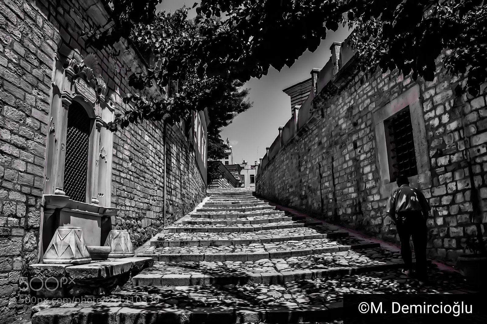 Nikon D5000 sample photo. Stanbul da bir ya photography