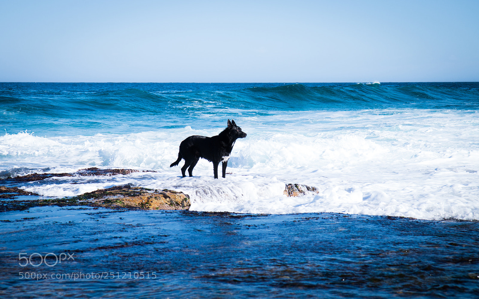 Canon EOS 70D sample photo. Exploring the sea photography