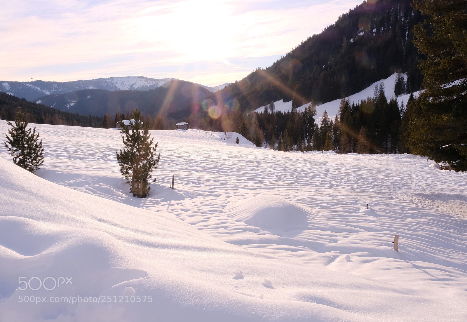 Fujifilm X-T2 sample photo. Winter iv photography
