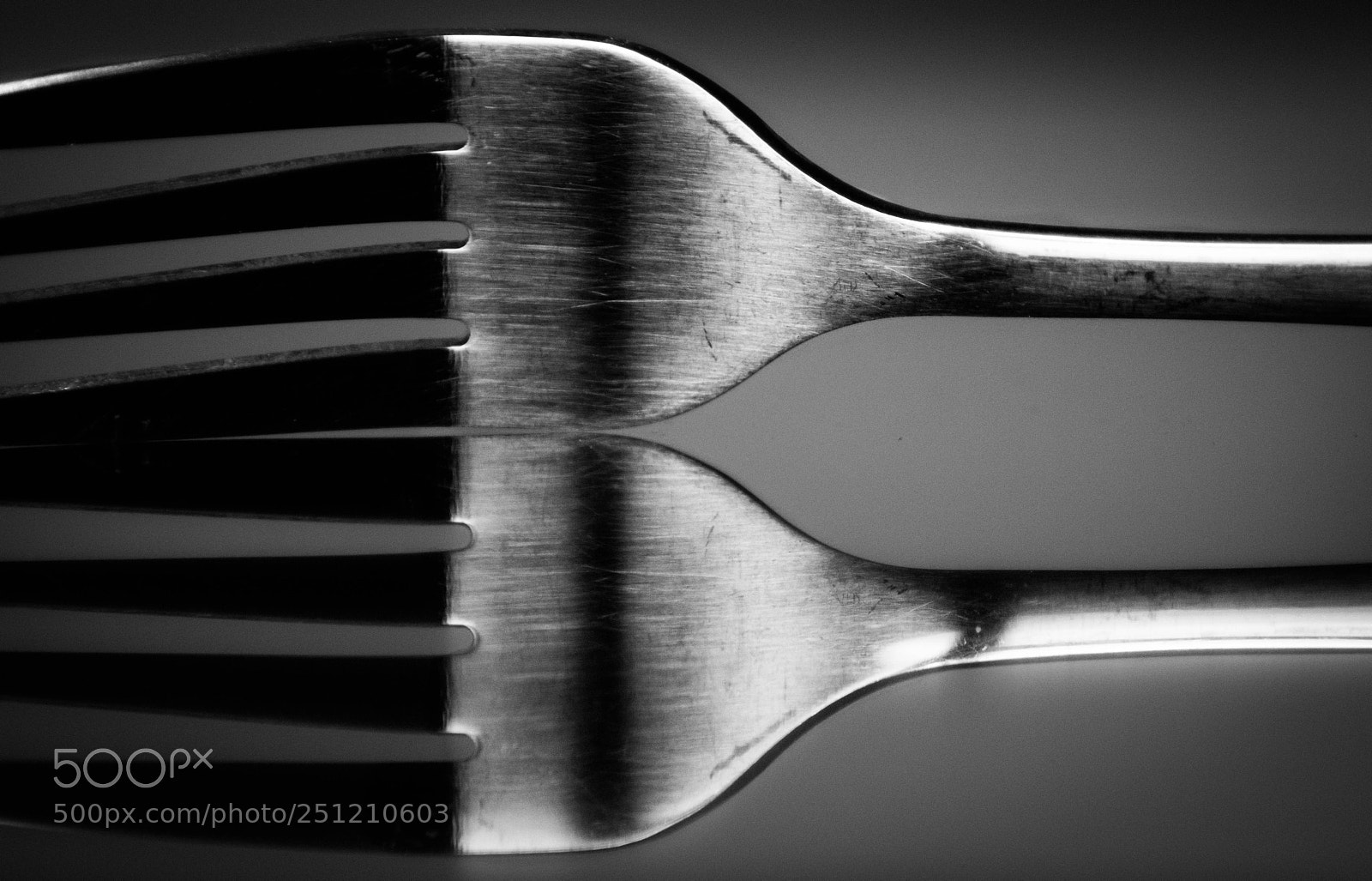 Nikon D3300 sample photo. Fork | things photography