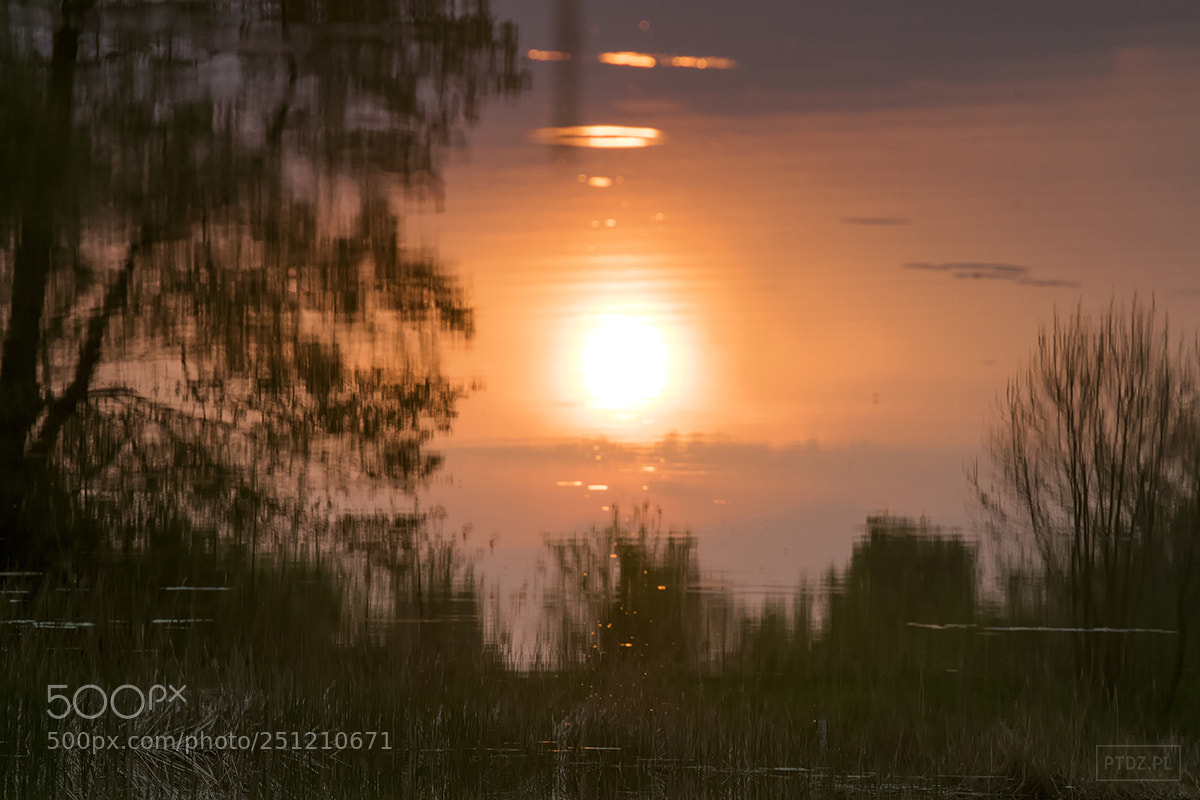 Nikon D5300 sample photo. 057 reflection photography