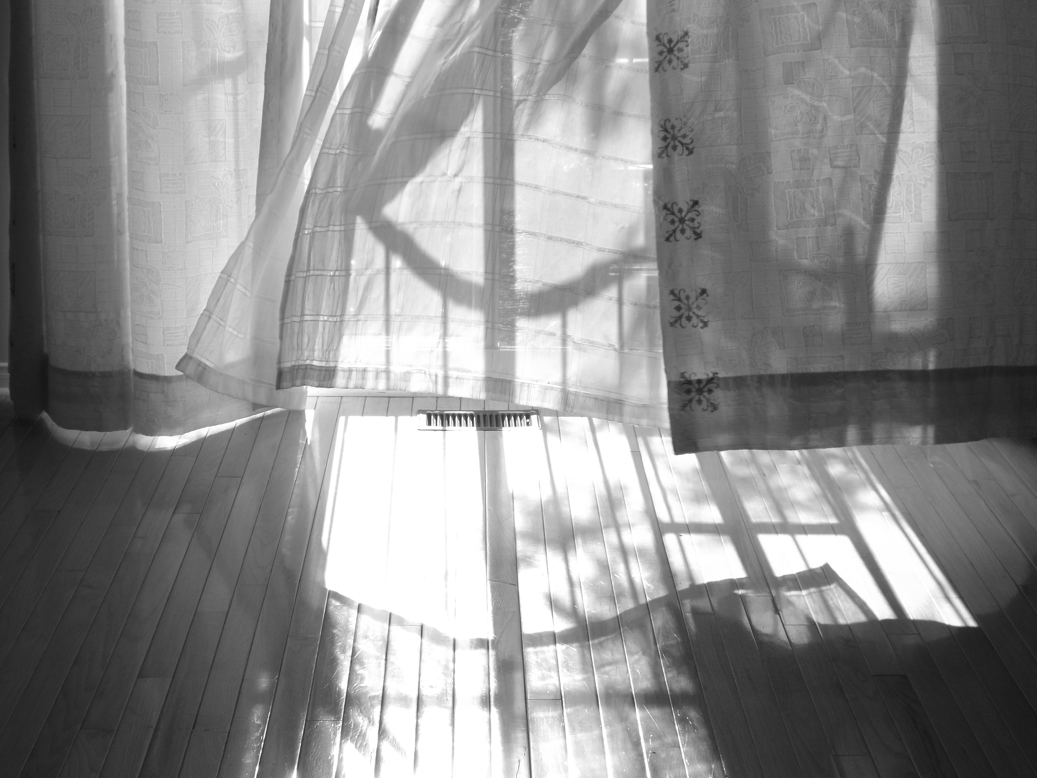 Fujifilm FinePix S4300 sample photo. Last day photography