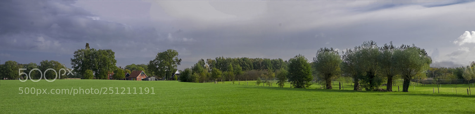 Fujifilm X-T1 sample photo. Willows in the field
 photography