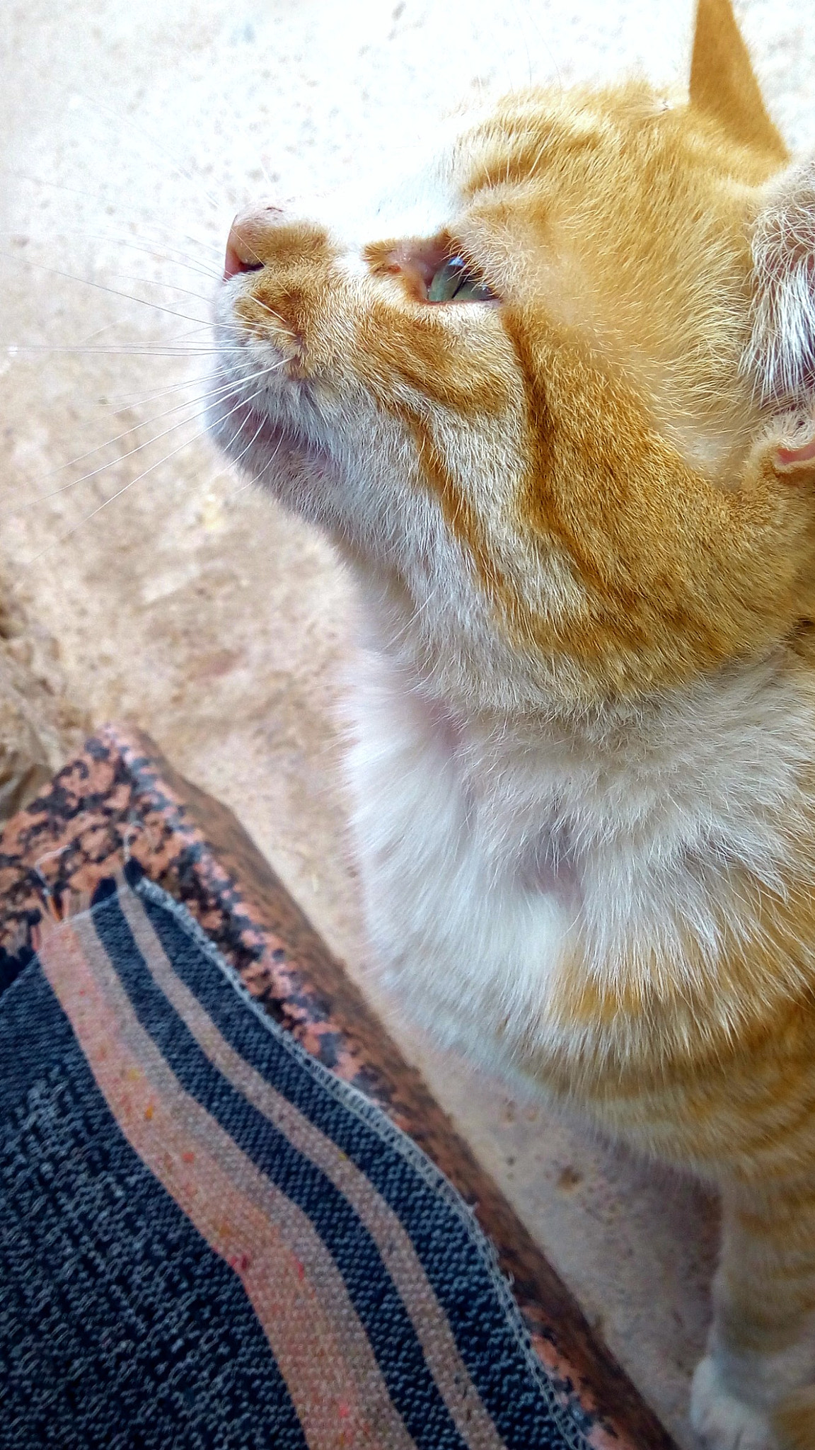 Infinix NOTE 3 PRO sample photo