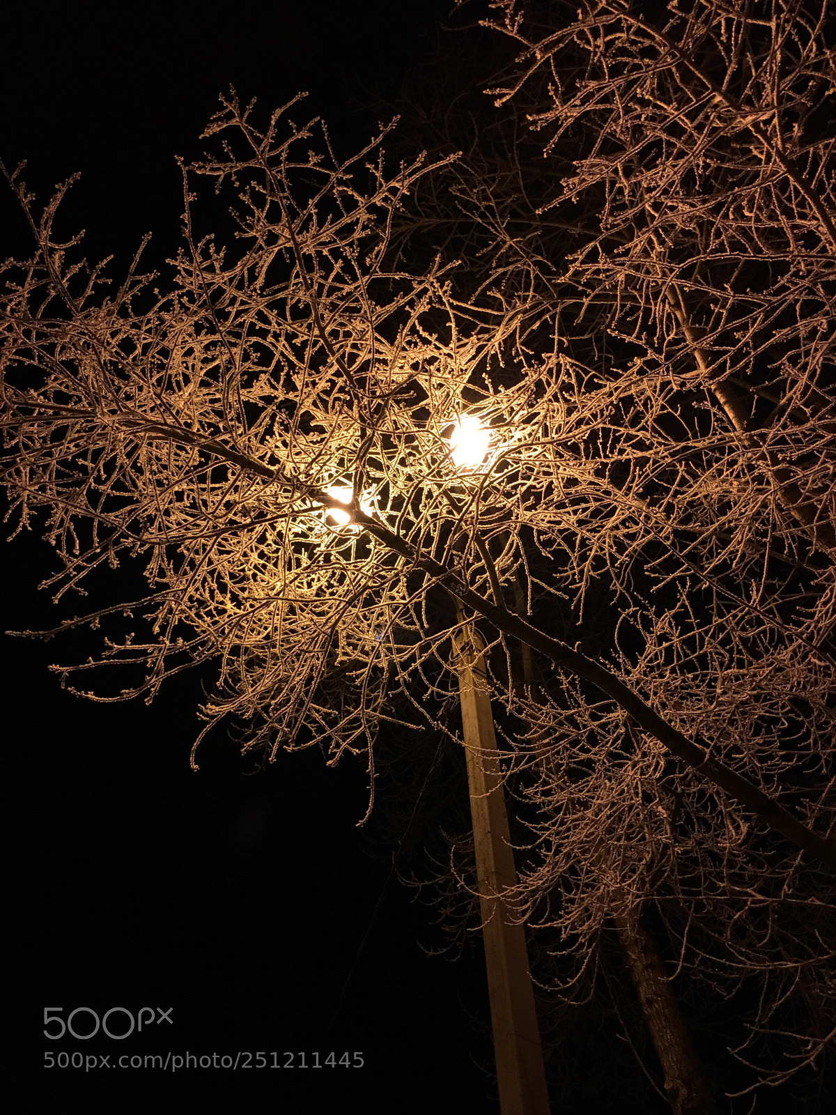 Apple iPhone 6s Plus sample photo. Untitled photography