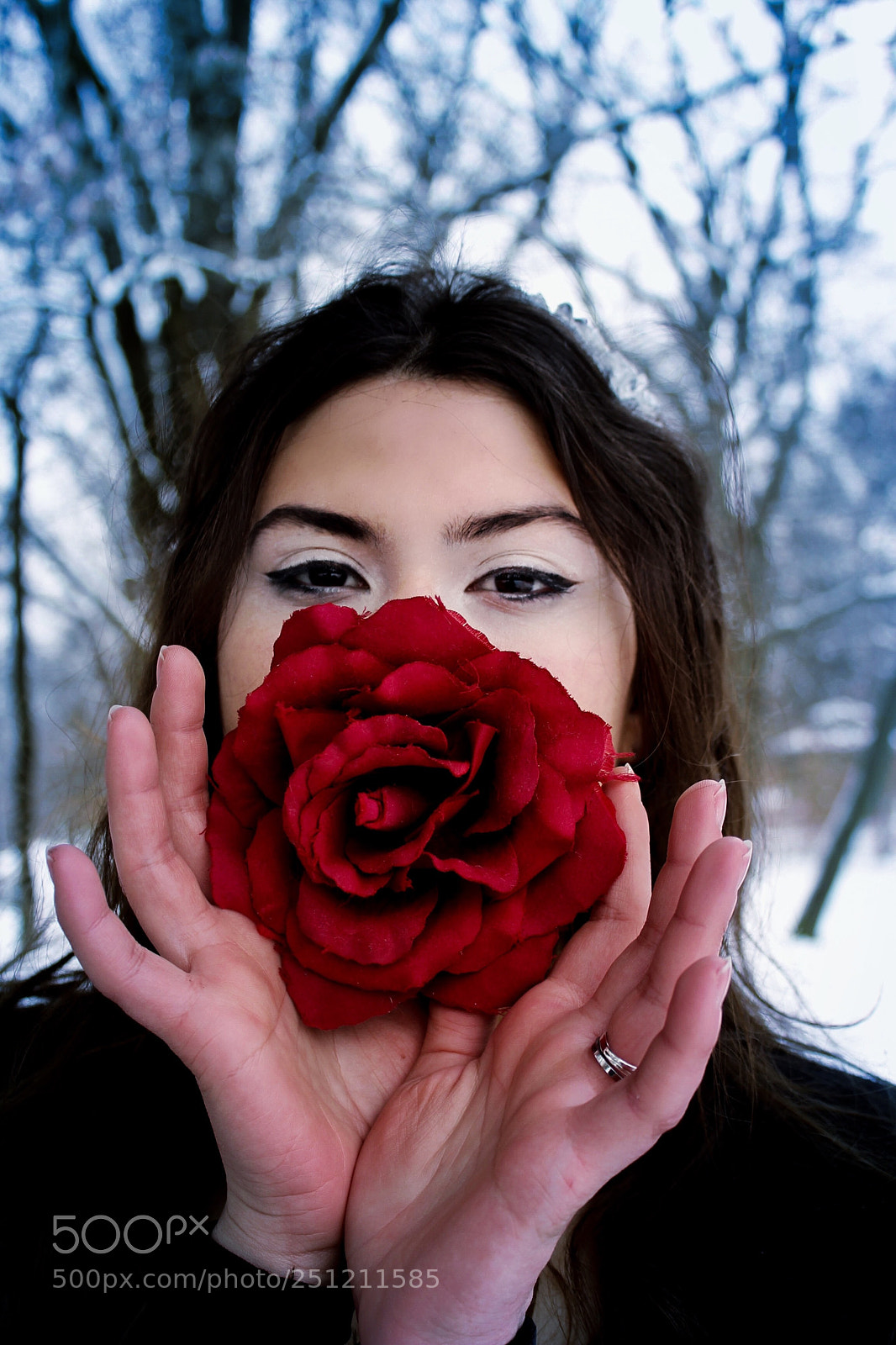 Canon EOS 1100D (EOS Rebel T3 / EOS Kiss X50) sample photo. Red rose photography