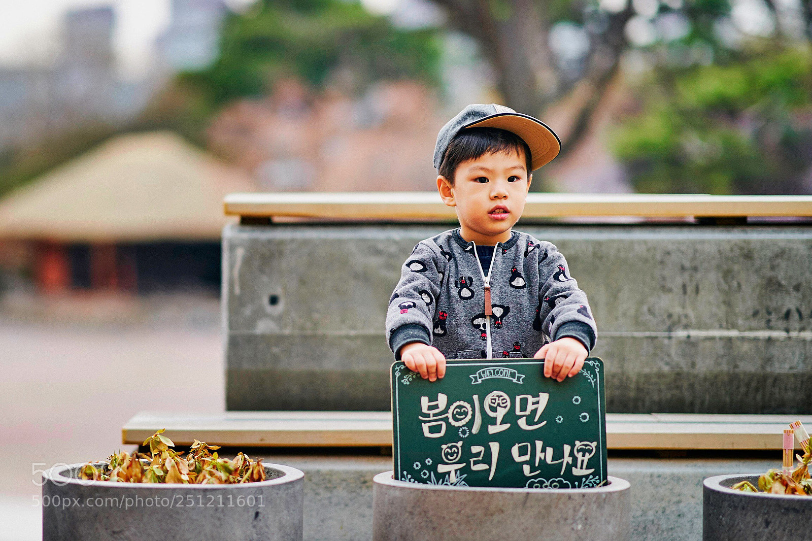 Sony a9 sample photo. Spring is coming.  photography