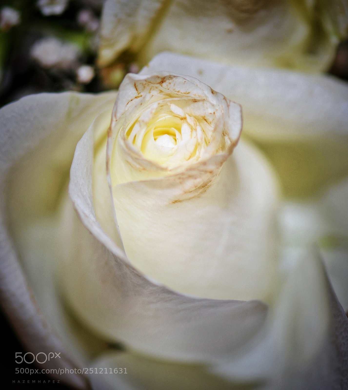 Nikon D610 sample photo. Sensual .. photography