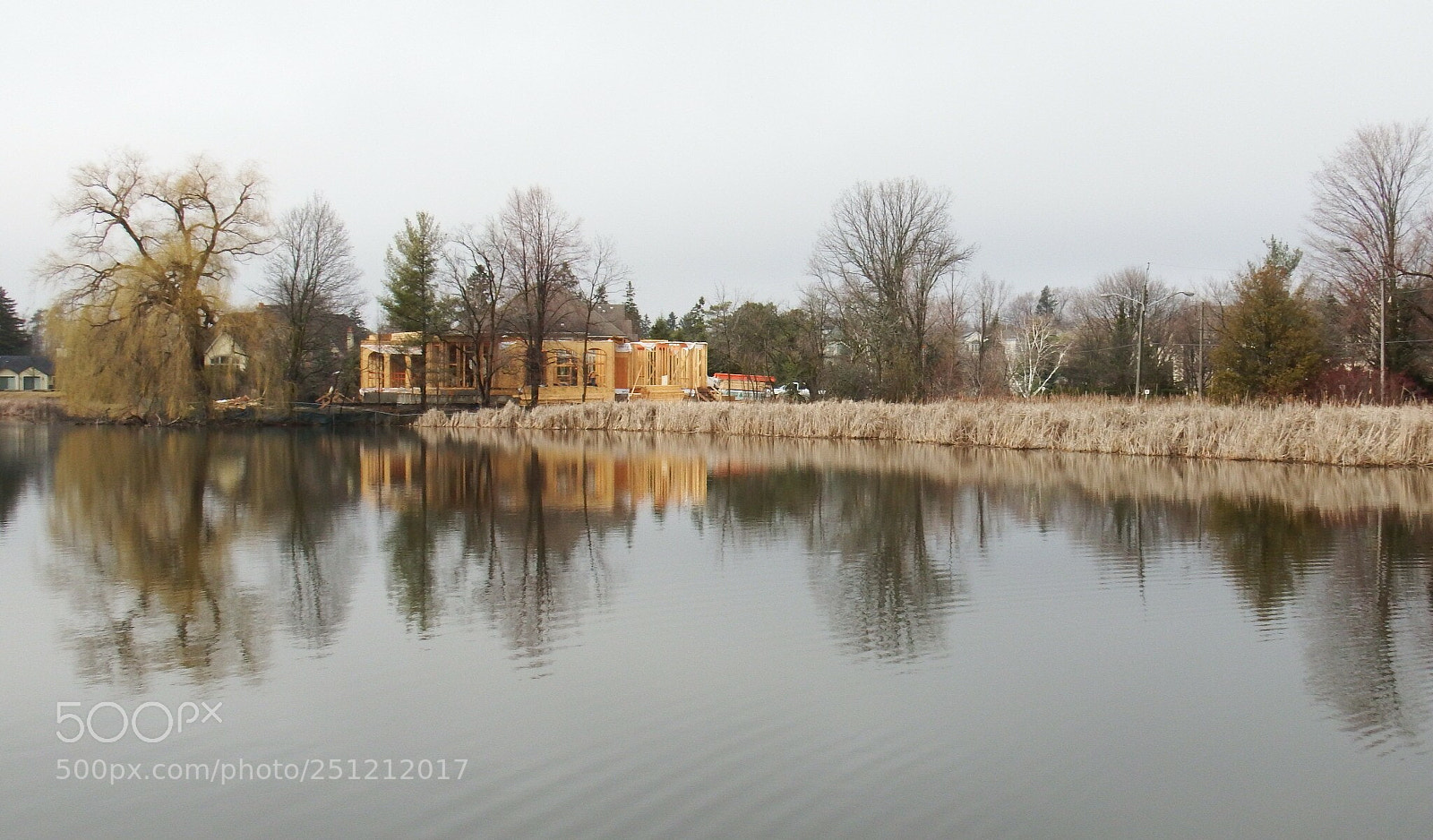 Fujifilm FinePix S1 sample photo. Untitled photography
