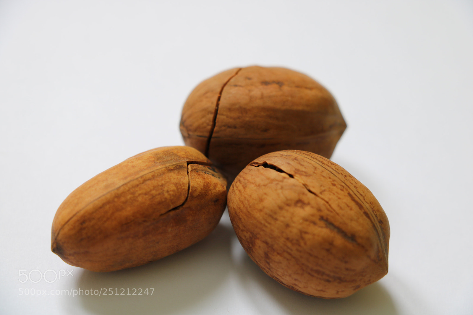 Canon EOS 750D (EOS Rebel T6i / EOS Kiss X8i) sample photo. Several american nuts on photography